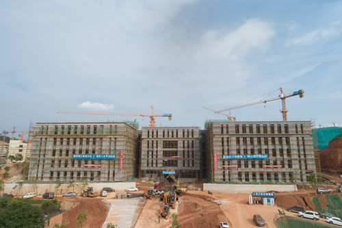 1642474429752172.jpg 1642474429752172.jpg